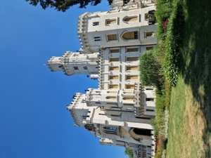 image Obrázek 246